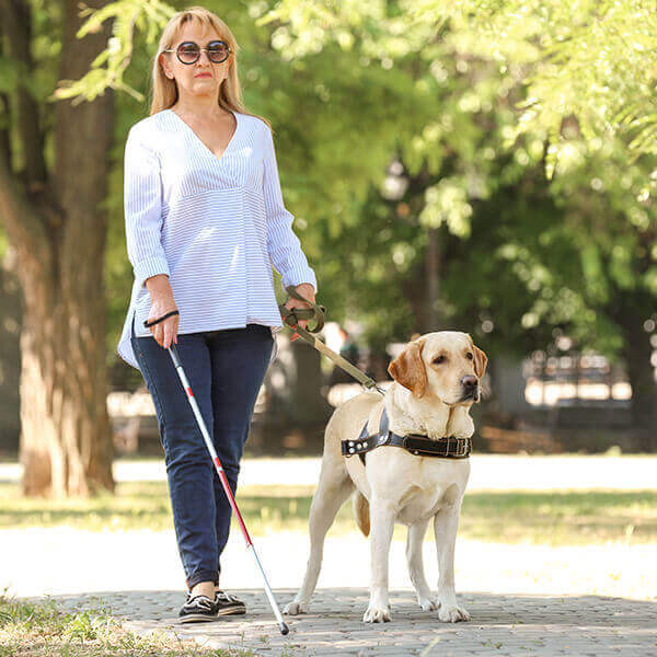 Femme-aveugle-promenant-son-chien-dans-un-parc Femme-aveugle-promenant-son-chien-dans-un-parc