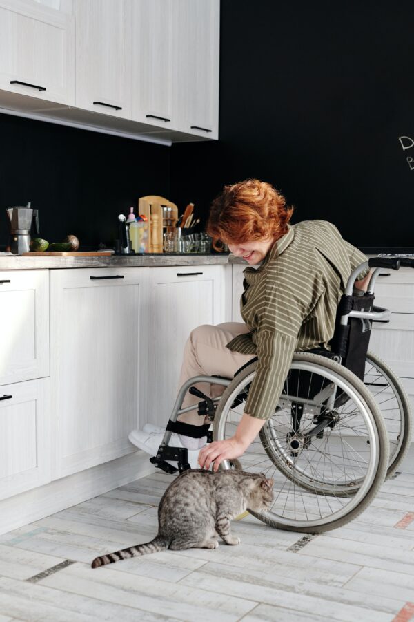utilisateur-fauteuil-roulant-chat-2023